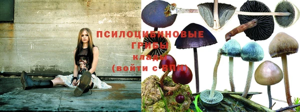 кокаин колумбия Алексин