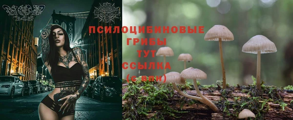 дживик Гусиноозёрск