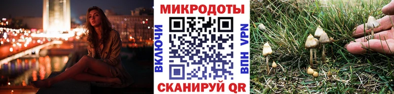 Галлюциногенные грибы мицелий  Бежецк 